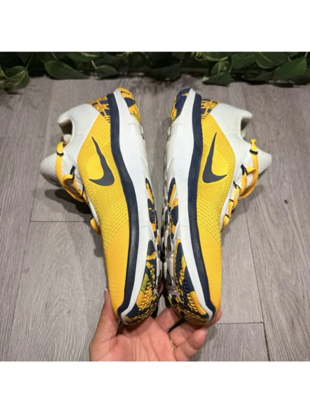 NIKE Free Men’s Michigan Wolverine’s Running Shoes 12.5 Blue Gold AA0881-700